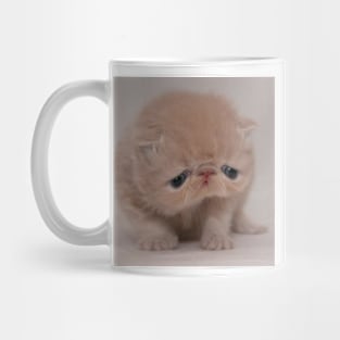 beautifull ugly cat Mug